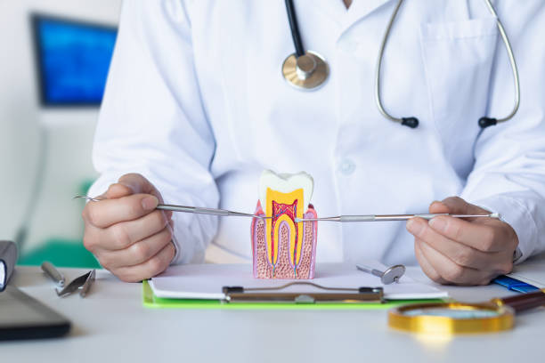 Best Urgent Tooth Repair  in La Luz, NM